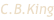 shapeimage_7_link_0